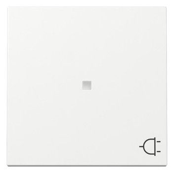 GIRA 329103 Wippe Kontrollfenster+Symbol Steckdose System 55 Reinweiß glänzend