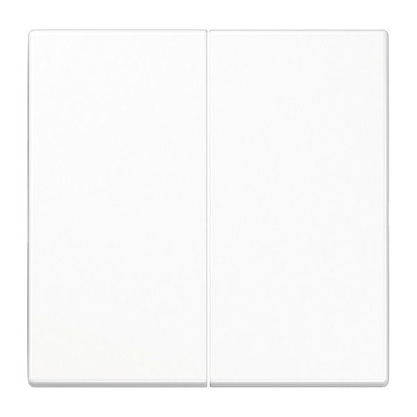 Jung LS1702WW Steuertaste 2-fa