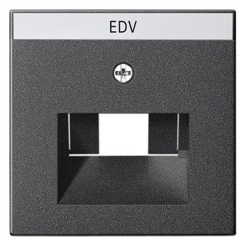 GIRA 028428 Abdeckung+ BSF UAE/IAE+ Netzwerk System 55 Anthrazit