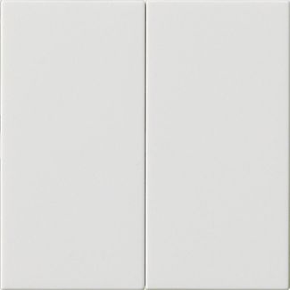 GIRA 536203 S3000 Bedienaufsatz 2fach System 55 Reinweiß glänzend