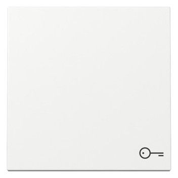 GIRA 328703 Wippe Symbol Tür System 55 Reinweiß glänzend