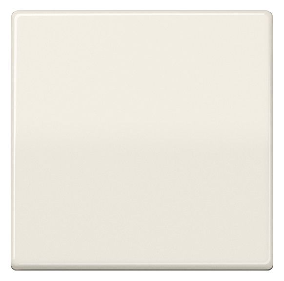 Jung AS1700 Steuertaste Std.