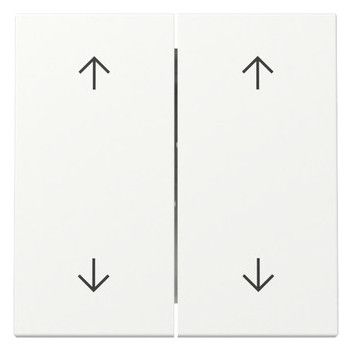 GIRA 329727 Wippe 2fach Pfeile System 55 Reinweiß seidenmatt