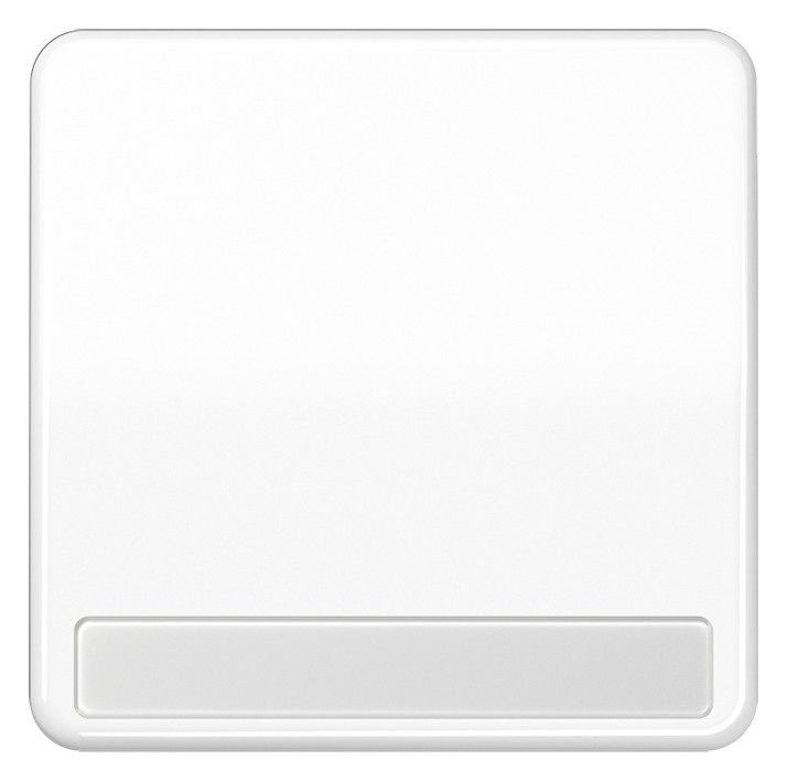 Jung CD590NAWW Wippe Schriftfeld alpinweiß