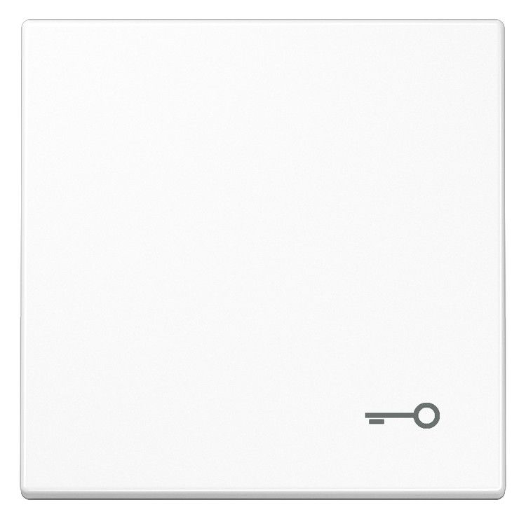 Jung LS990TWW Wippe Symbol Tür alpinweiß