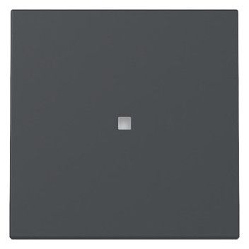 GIRA 329028 Wippe Kontrollfenster System 55 Anthrazit