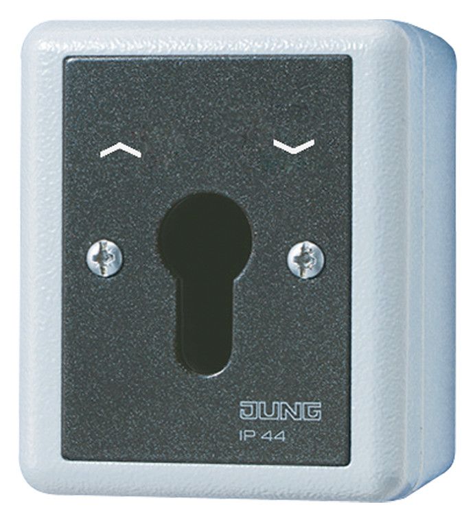 Jung 804.28G AP/WG Schlüsselschalter 2p Jalousie-Wendeschalter WG800/WG600