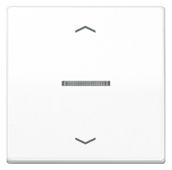 Jung BTA17101PWW JUNG HOME Taster 1fach m.Pfeilsymbolen