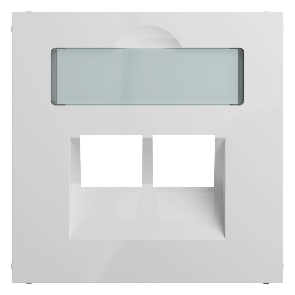 Legrand 765159 SEANO Abdeckung 2x RJ45 f Datendosen Fremdfabrikate Ultraweiß