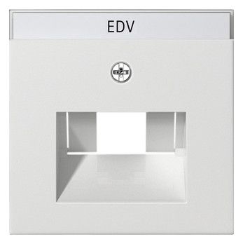 GIRA 028403 Abdeckung+ BSF UAE/IAE+ Netzwerk System 55 Reinweiß glänzend