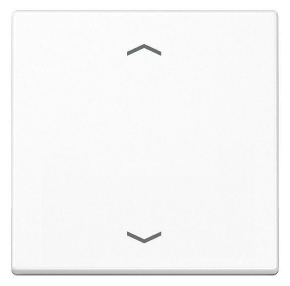 Jung A1700PWW Steuertaste Standard -Pfeile