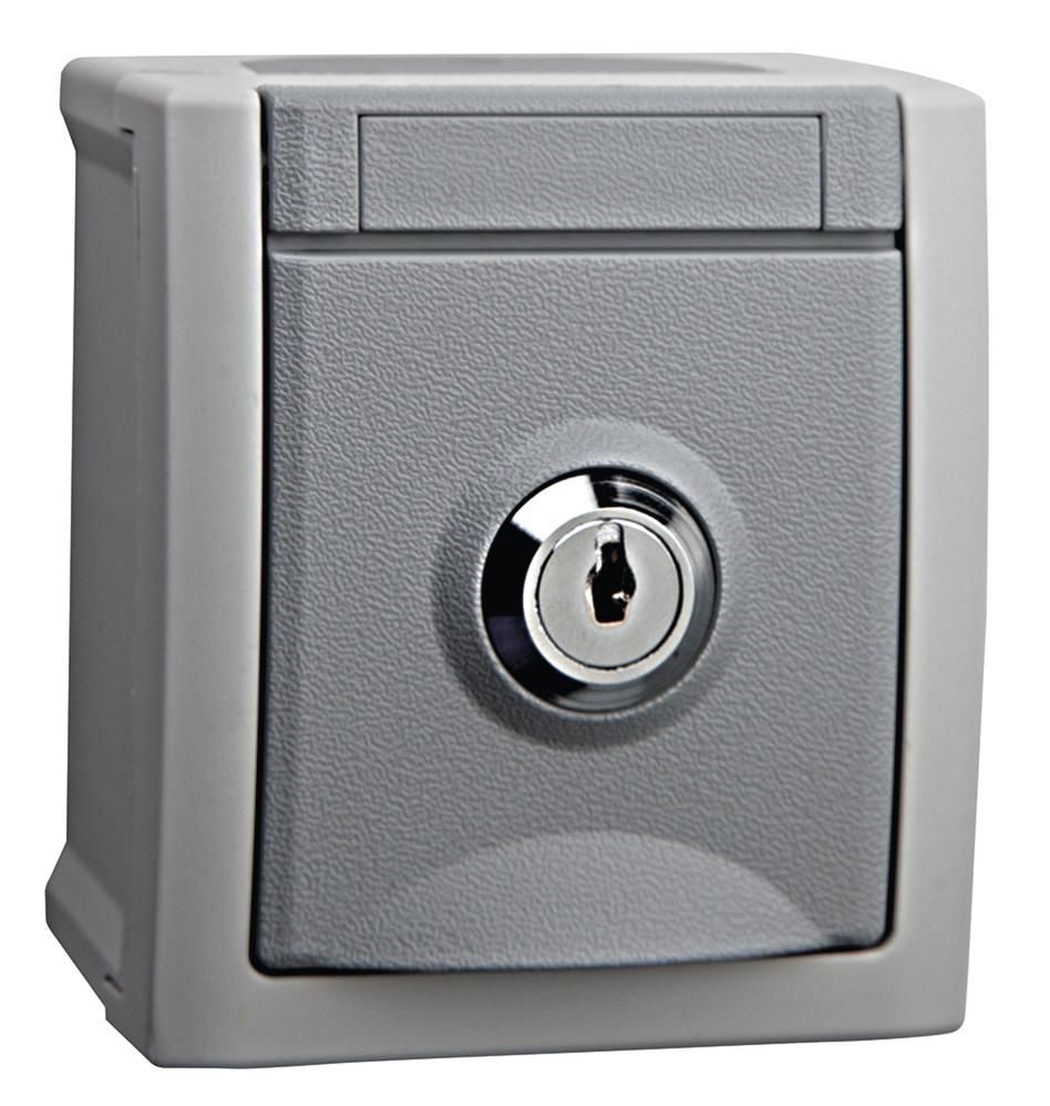 RED 2410-50-0015 Steckdose FR AP Grau RAL 7035