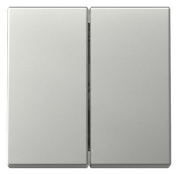 GIRA 3295600 Wippe 2fach System 55 Edelstahl