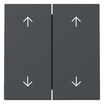 GIRA 329728 Wippe 2fach Pfeile System 55 Anthrazit