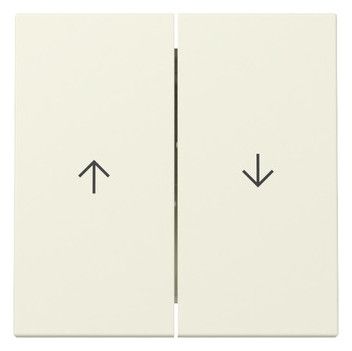 GIRA 329401 Wippe 2fach Pfeil System 55 Cremeweiß glänzend