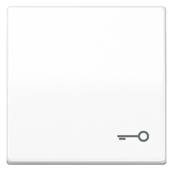 Jung AS591TWW Wippe Symbol Tür Serie AS alpinweiß