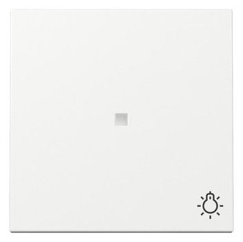 GIRA 367403 Wippe Kontrollfenster+Symbol Licht System 55 Reinweiß glänzend