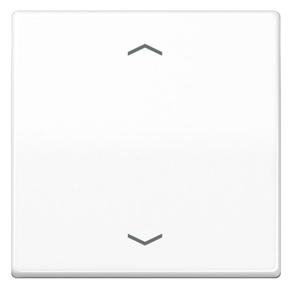 Jung AS1700PWW Steuertaste Standard -Pfeile