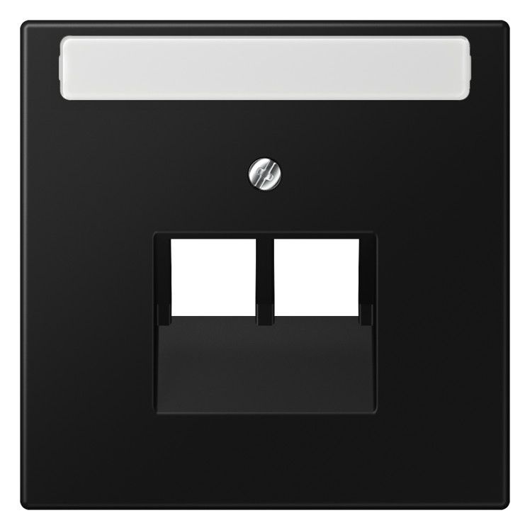 Jung LS969-2NAUASWM Abdeckung f.IAE/UAE-Anschlussdose