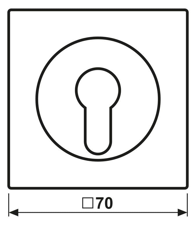 Jung ES2928 Abdeckung f.Schlüsselschalter LS Edelstahl