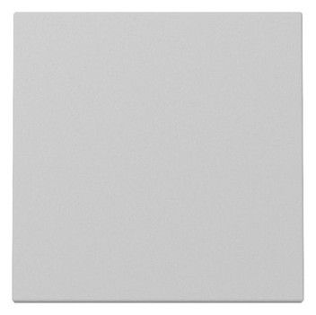 GIRA 3296015 Wippe System 55 Grau matt (lackiert)