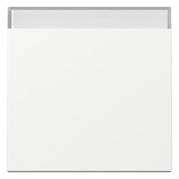 GIRA 329903 Wippe Beschriftungsfeld System 55 Reinweiß glänzend