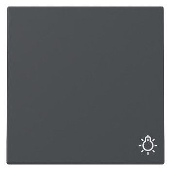 GIRA 328528 Wippe Symbol Licht System 55 Anthrazit