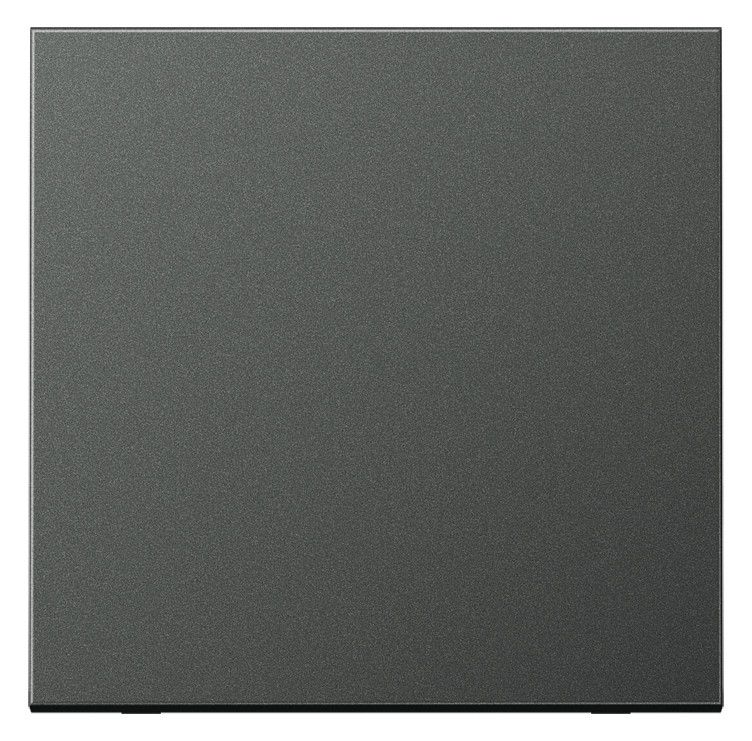 Jung AL2990AN Wippe LS Aluminium anthrazit