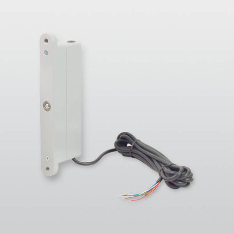 Sperrelement für Rolltore