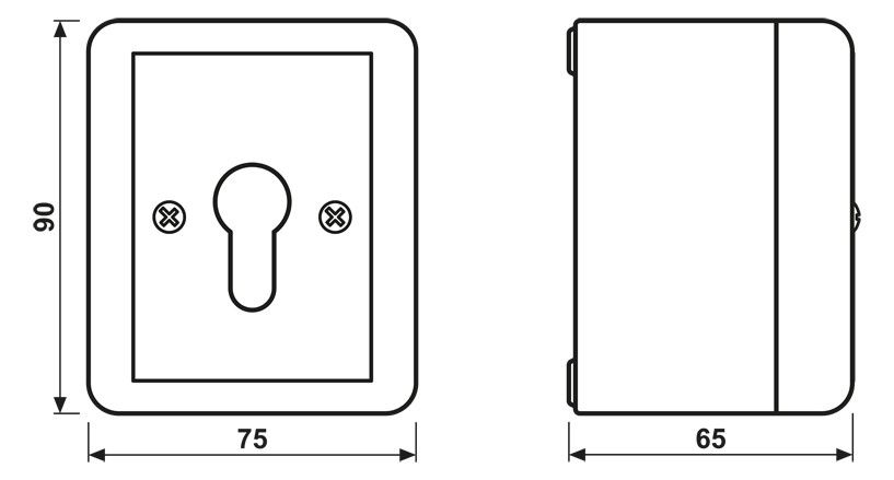 Jung 834.28G AP/WG Schlüsselschalter 2p Jalousie-Wendetaster WG800/WG600