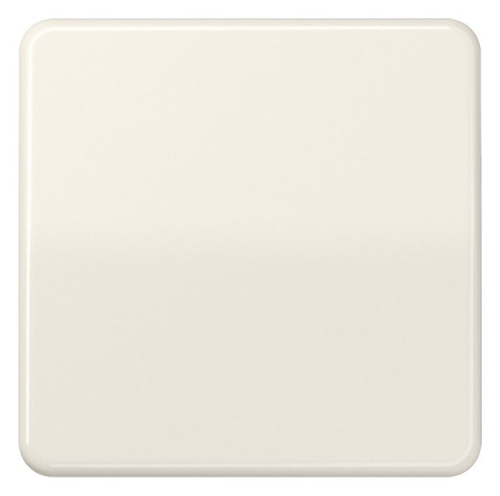 Jung CD1700 Steuertaste Std.