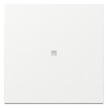 GIRA 329003 Wippe Kontrollfenster System 55 Reinweiß glänzend