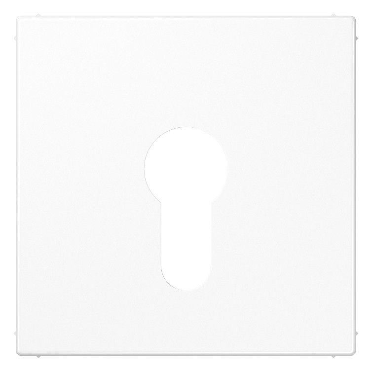 Jung LS925WW Abdeckung f.Schlüsselschalter alpinweiß