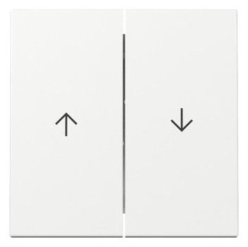 GIRA 329403 Wippe 2fach Pfeil System 55 Reinweiß glänzend