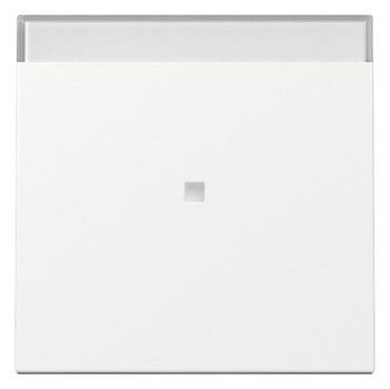 GIRA 367003 Wippe Kontrollfenster+BSF System 55 Reinweiß glänzend