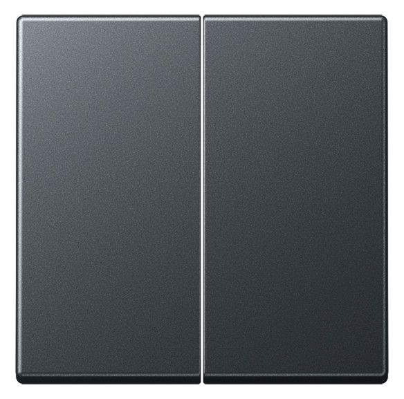 Jung A595BFANM Wippe Serienschalter Serie A anthrazit matt
