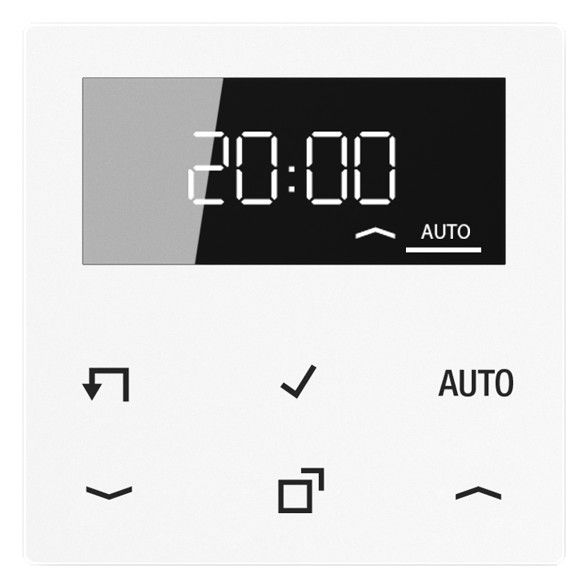Jung A1750DWW Timer Standard m.Display