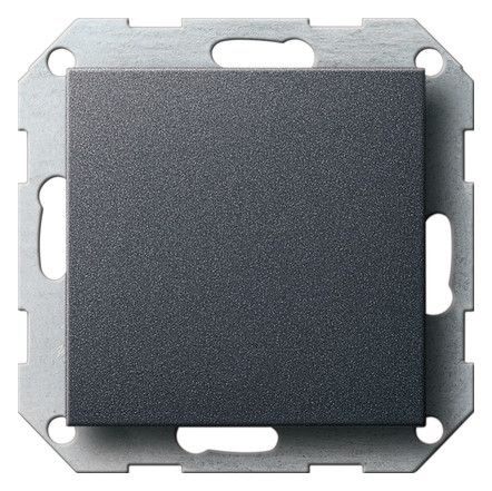 GIRA 026828 Blindabdeckung Tragring System 55 Anthrazit