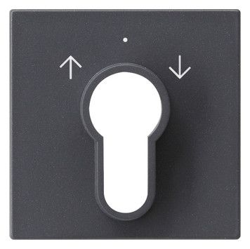 GIRA 066428 Abdeckung Schlüsselschalter /-taster System 55 Anthrazit