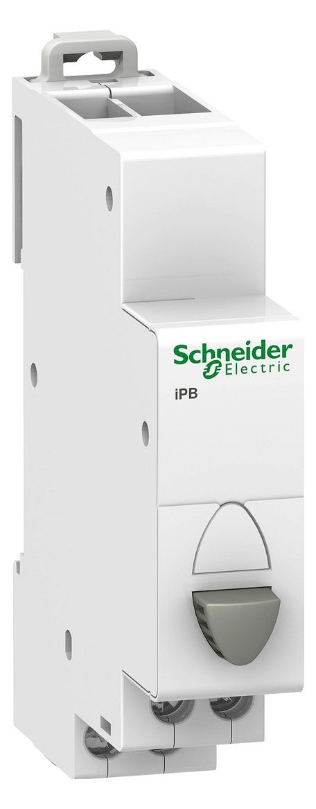 Schneider A9E18032 Drucktaster iPB 1S grau