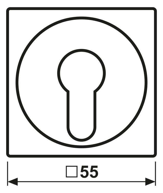 Jung A528PLWW Abdeckung f.Schlüsselschalter Serie A/AS alpinweiß
