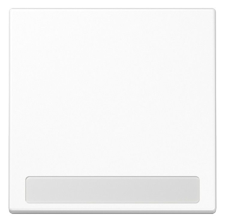 Jung LS990NAWW Wippe Schriftfeld alpinweiß