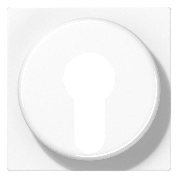 Jung A528PLWW Abdeckung f.Schlüsselschalter Serie A/AS alpinweiß