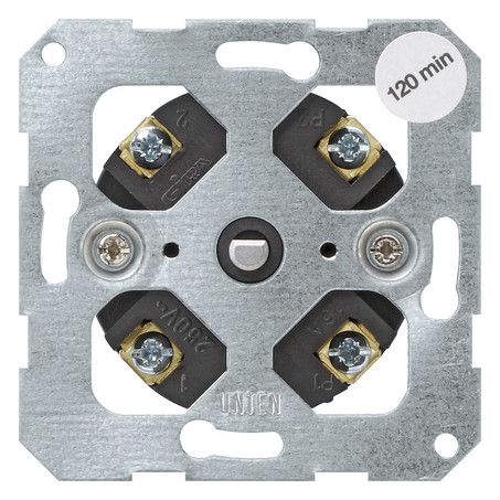 GIRA 032100 Zeitschalter 2-polig 120min. Einsatz