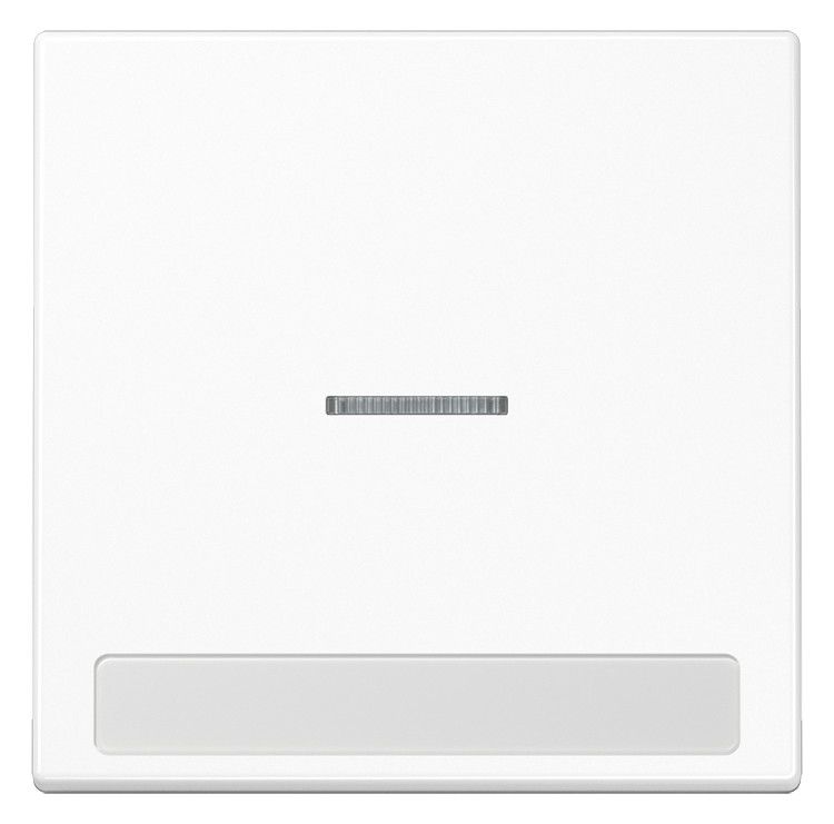 Jung LS990NAKO5WW Wippe Schriftfeld m.Lichtleiter alpinweiß