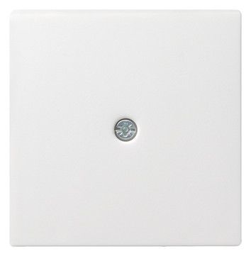 GIRA 027403 Abdeckung Schnurableitung VDo System 55 Reinweiß glänzend