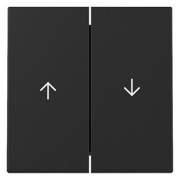 GIRA 3294005 Wippe 2fach Pfeil System 55 Schwarz matt (lackiert)