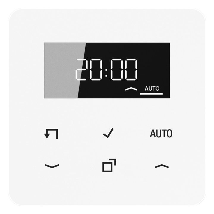 Jung CD1750DWW Timer Standard m.Display