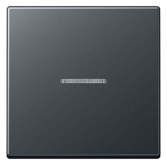 Jung A590BFKO5ANM Wippe Lichtleiter bruchsicher Serie A anthrazit matt