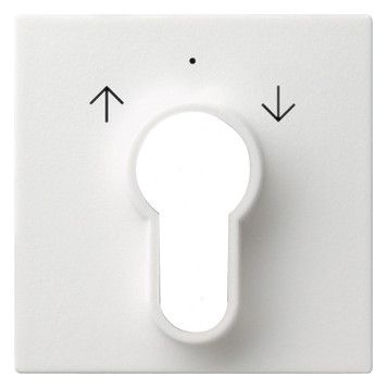 GIRA 066427 Abdeckung Schlüsselschalter /-taster System 55 Reinweiß seidenmatt